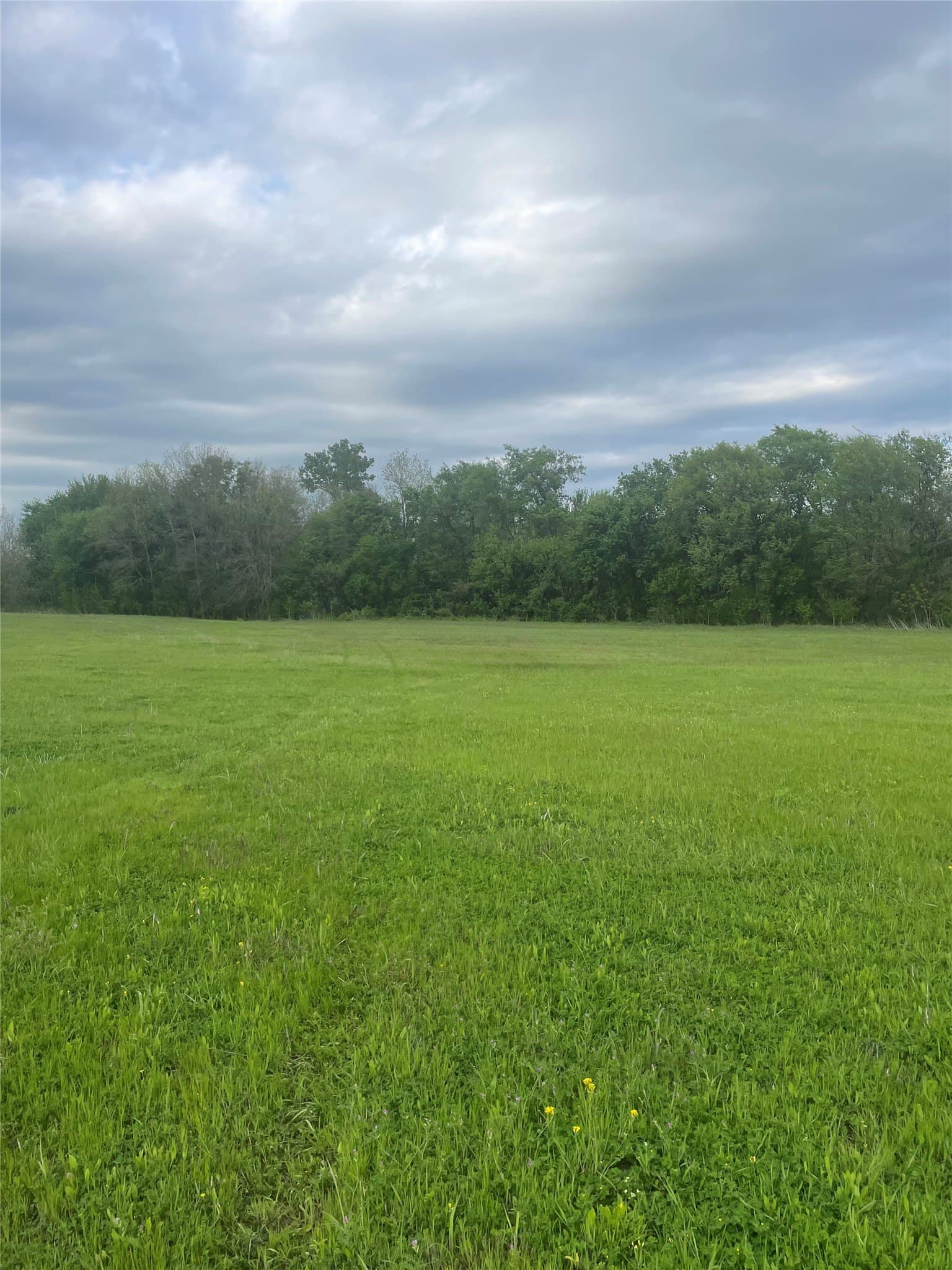 20.23 acres in Collin County - photo 3