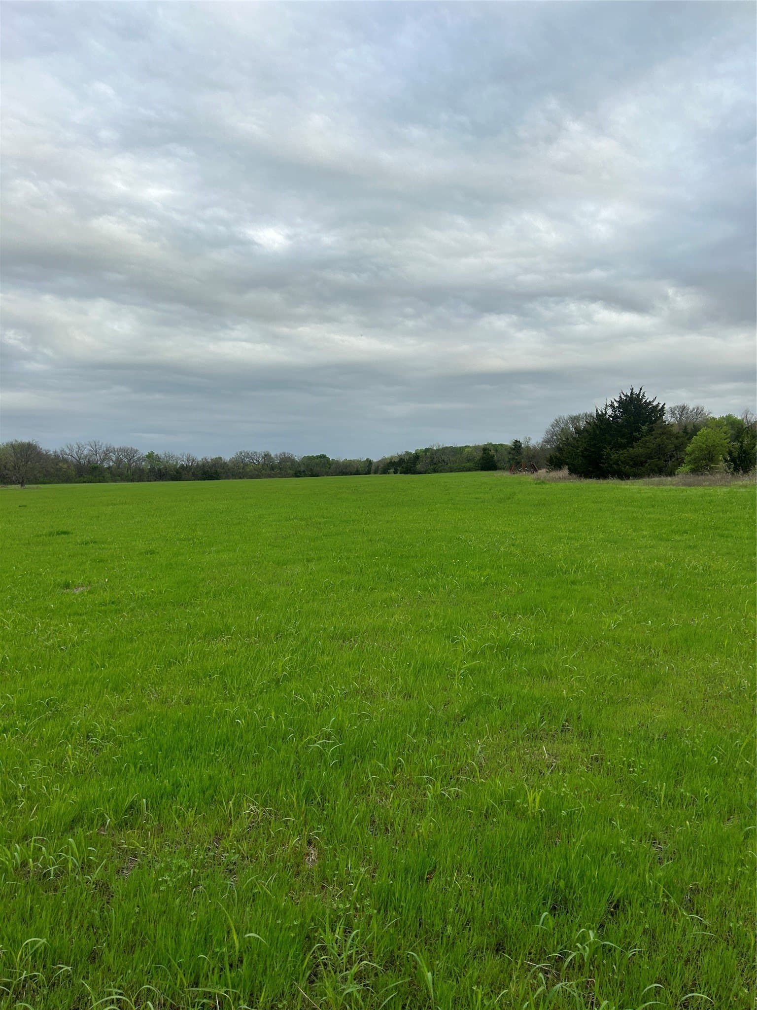 20.23 acres in Collin County - photo 6