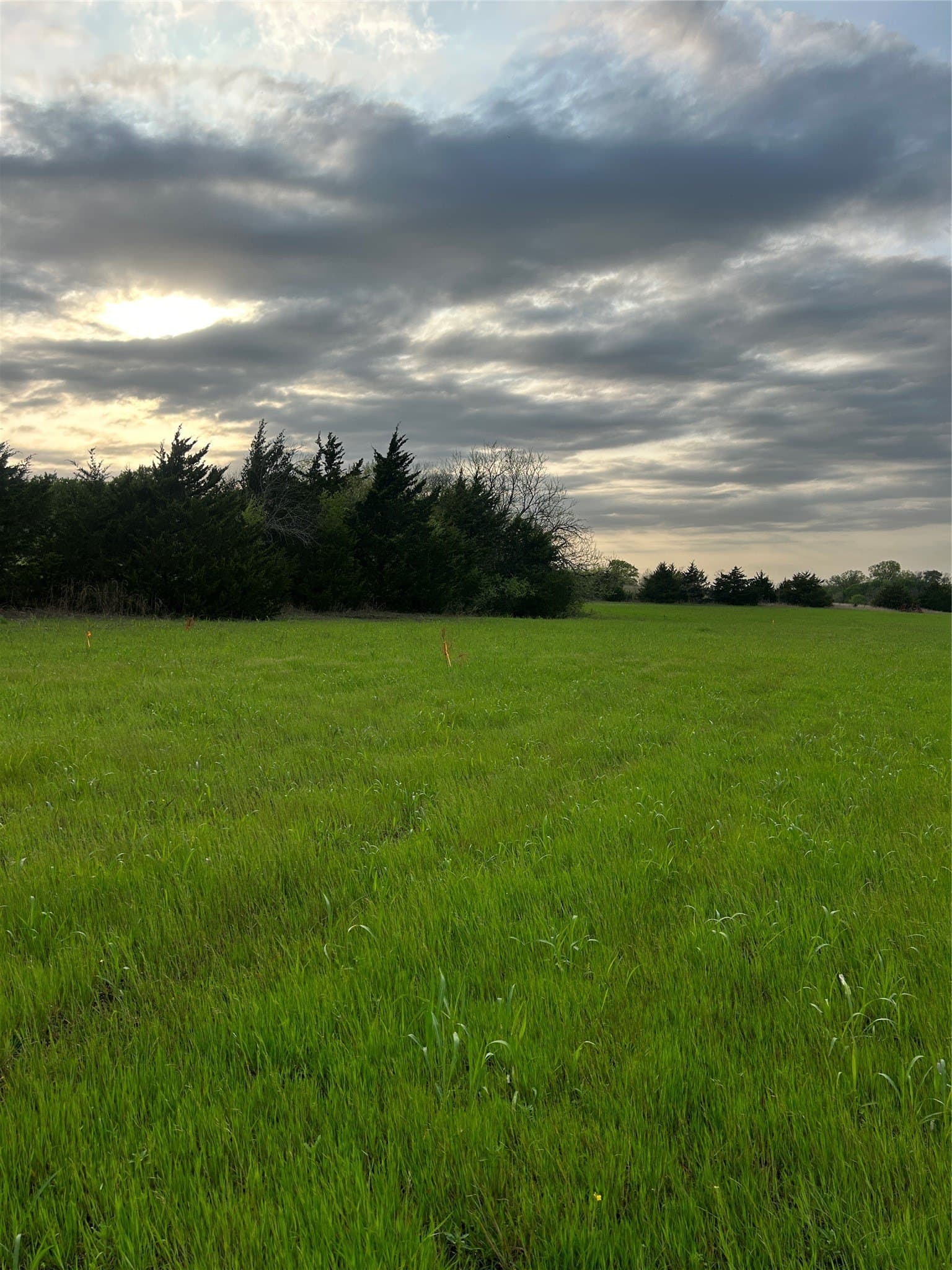 20.23 acres in Collin County - photo 7