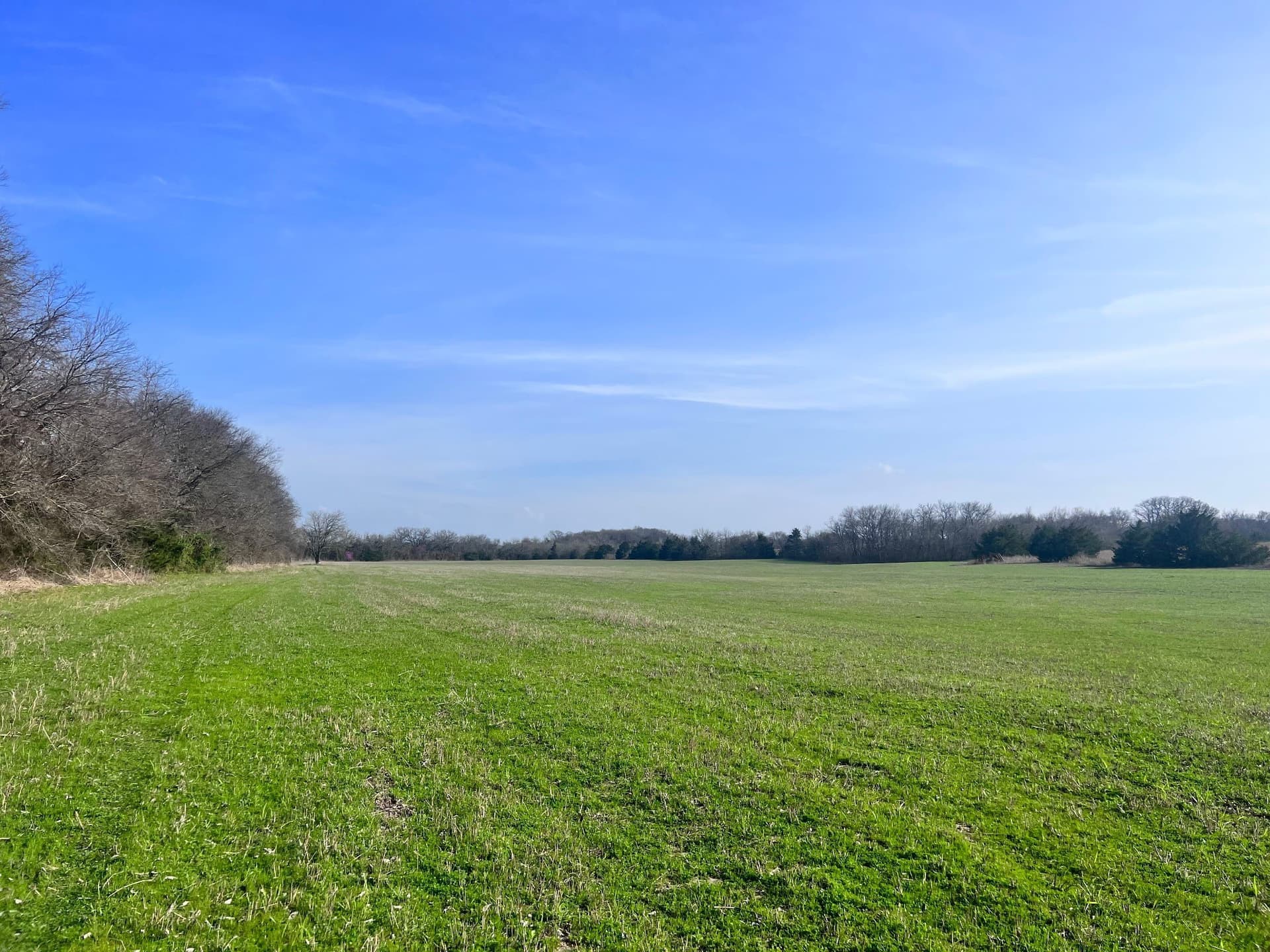 20.23 acres in Collin County - photo 2