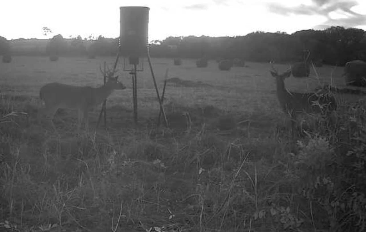 20.23 acres in Collin County - photo 15