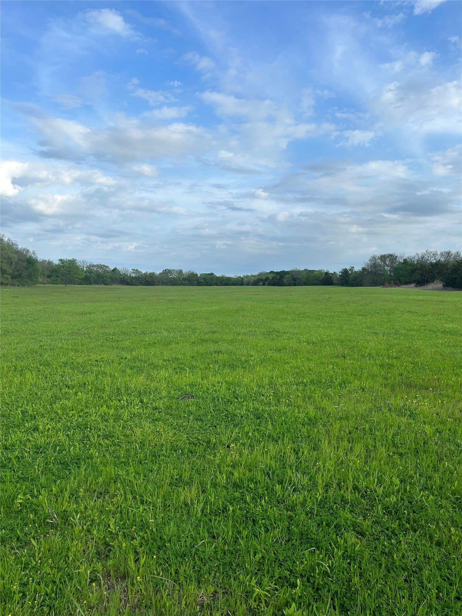 20.23 acres in Collin County - photo 4