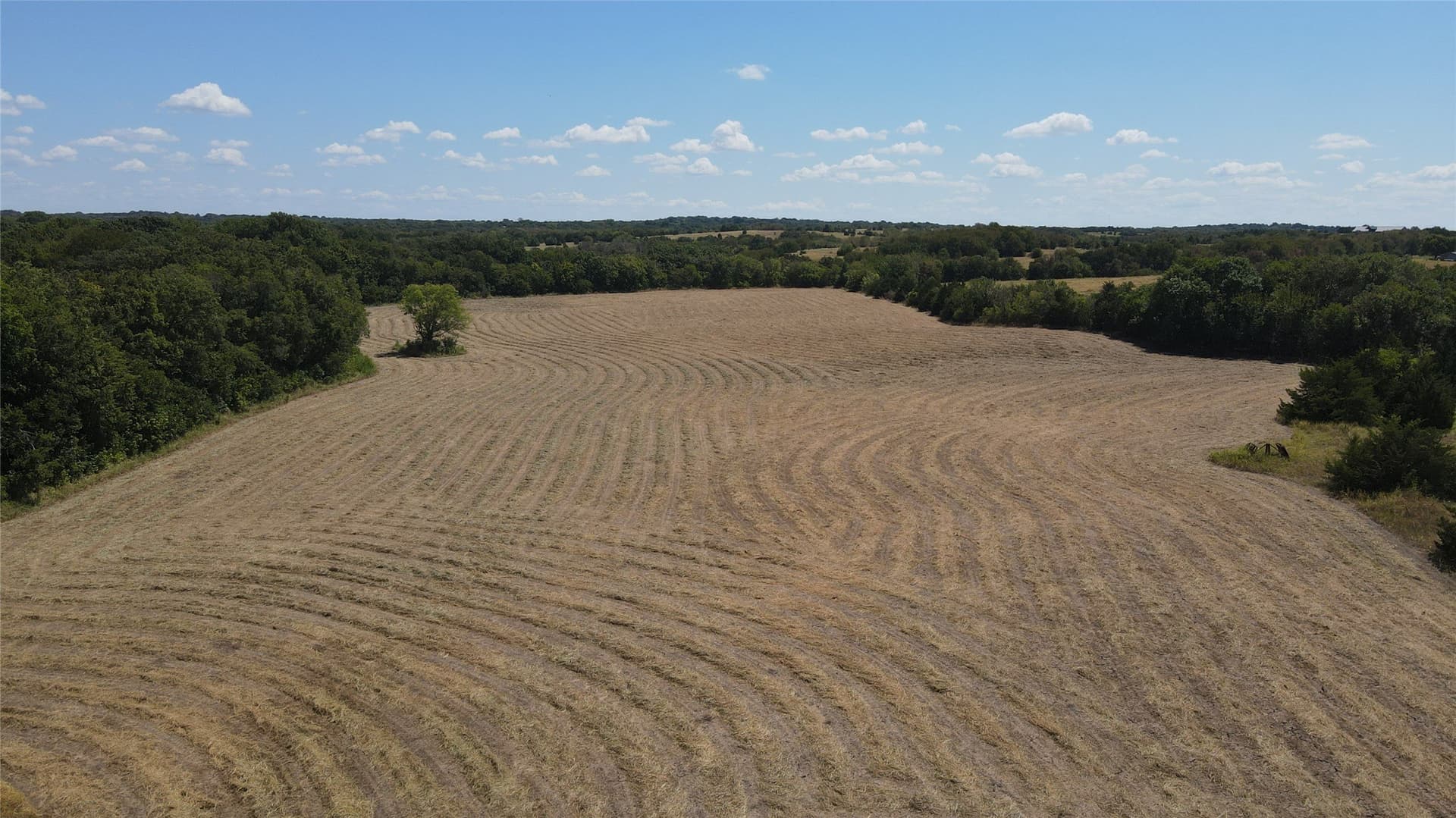 20.23 acres in Collin County - photo 12