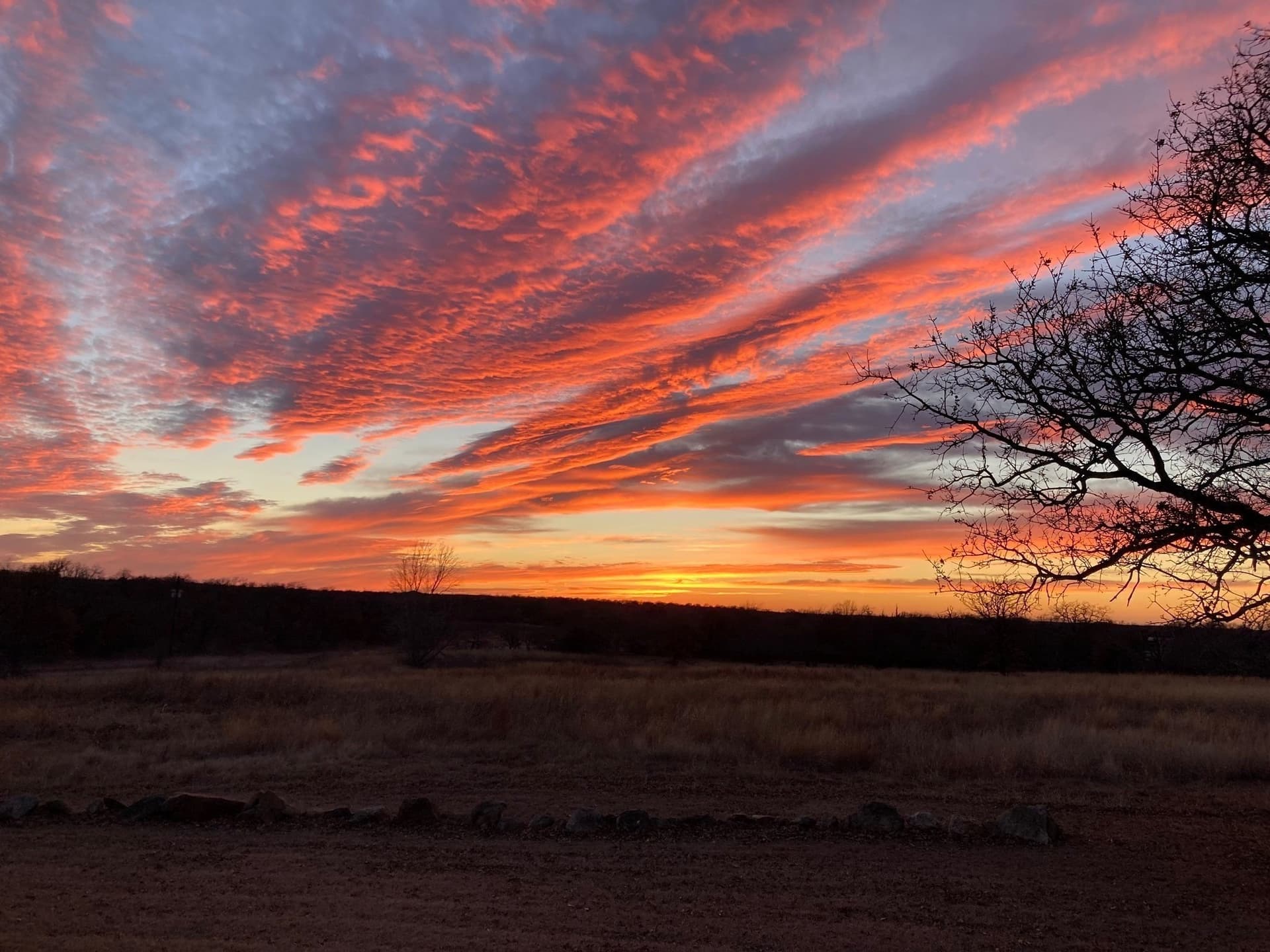55.65 acres in Montague County - photo 40
