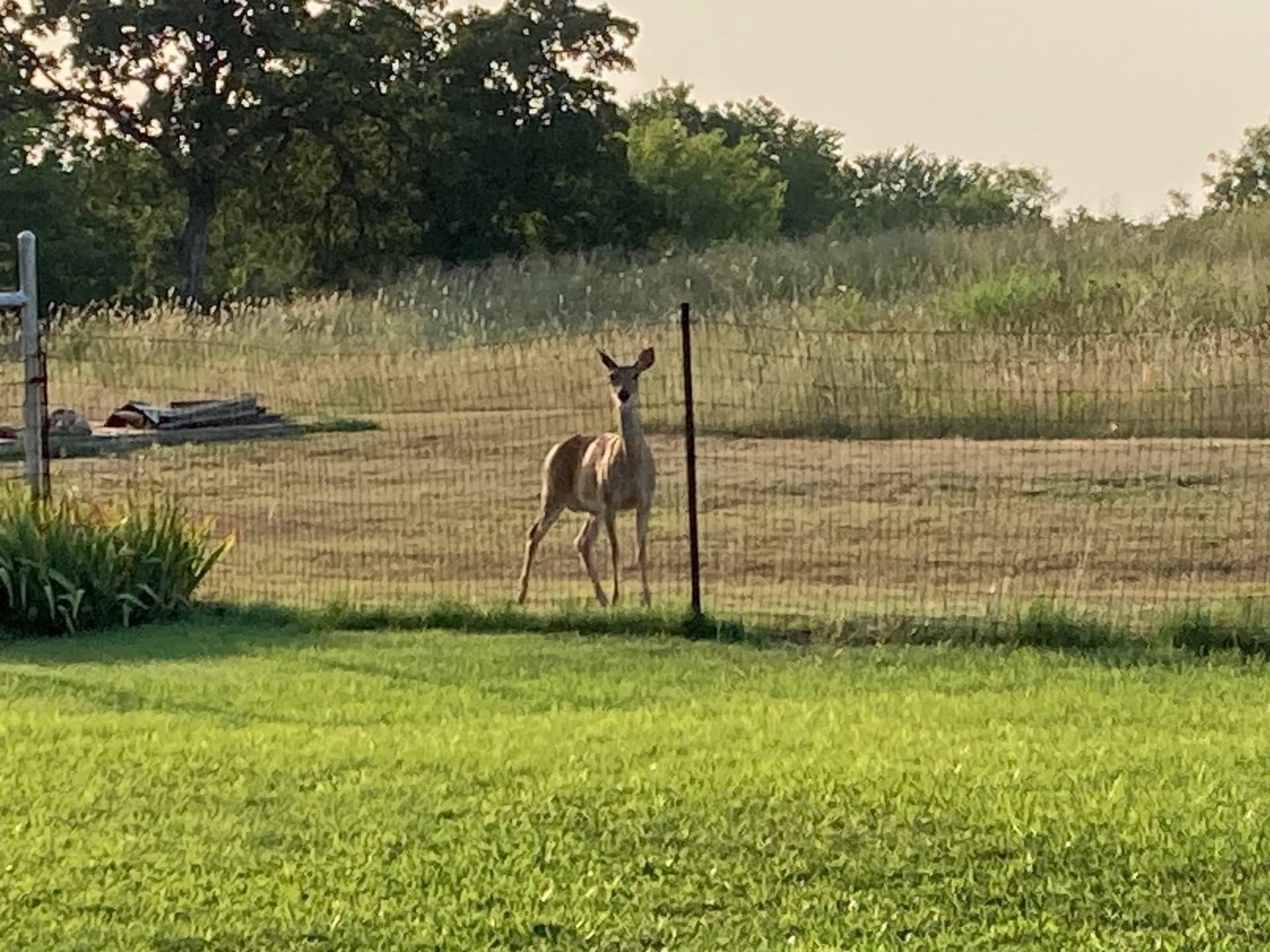 55.65 acres in Montague County - photo 37