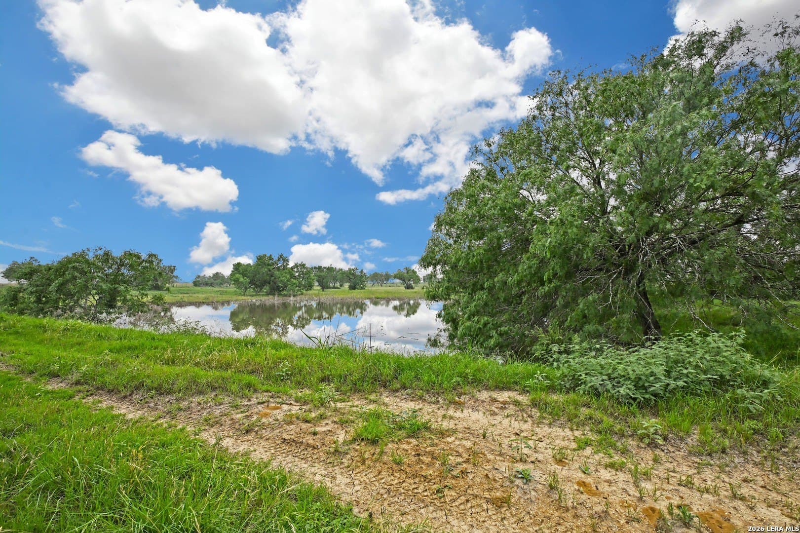 172.55 acres in Bexar County - photo 24