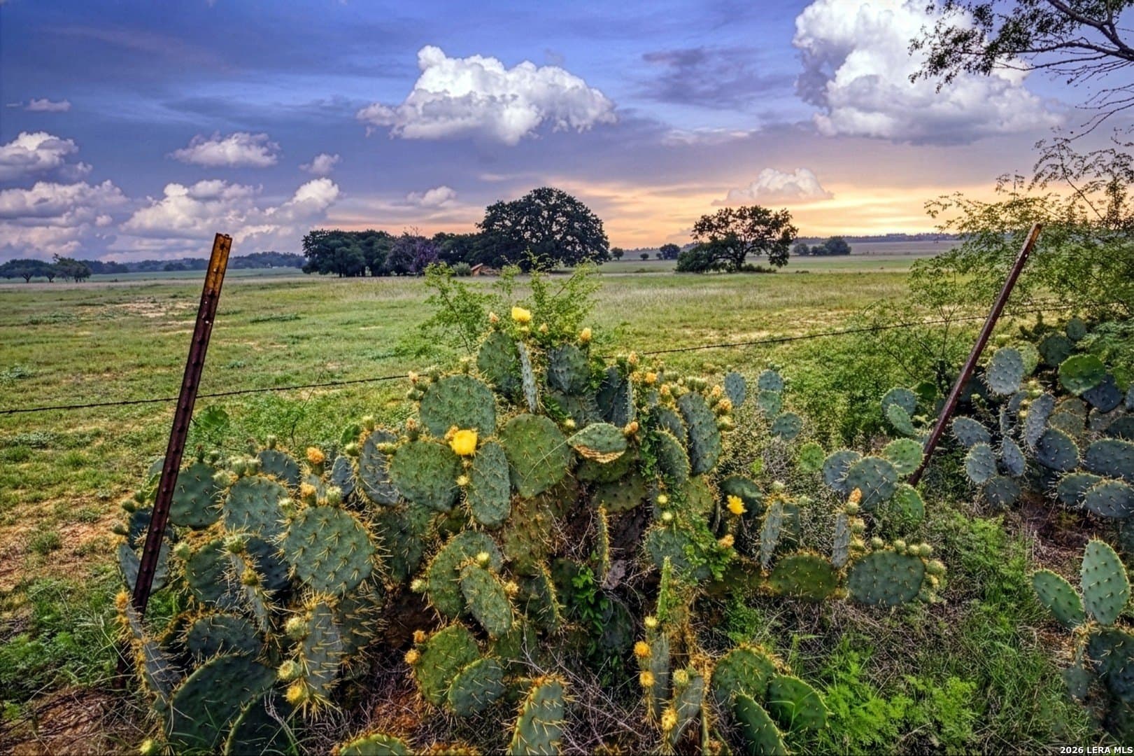 172.55 acres in Bexar County - photo 21