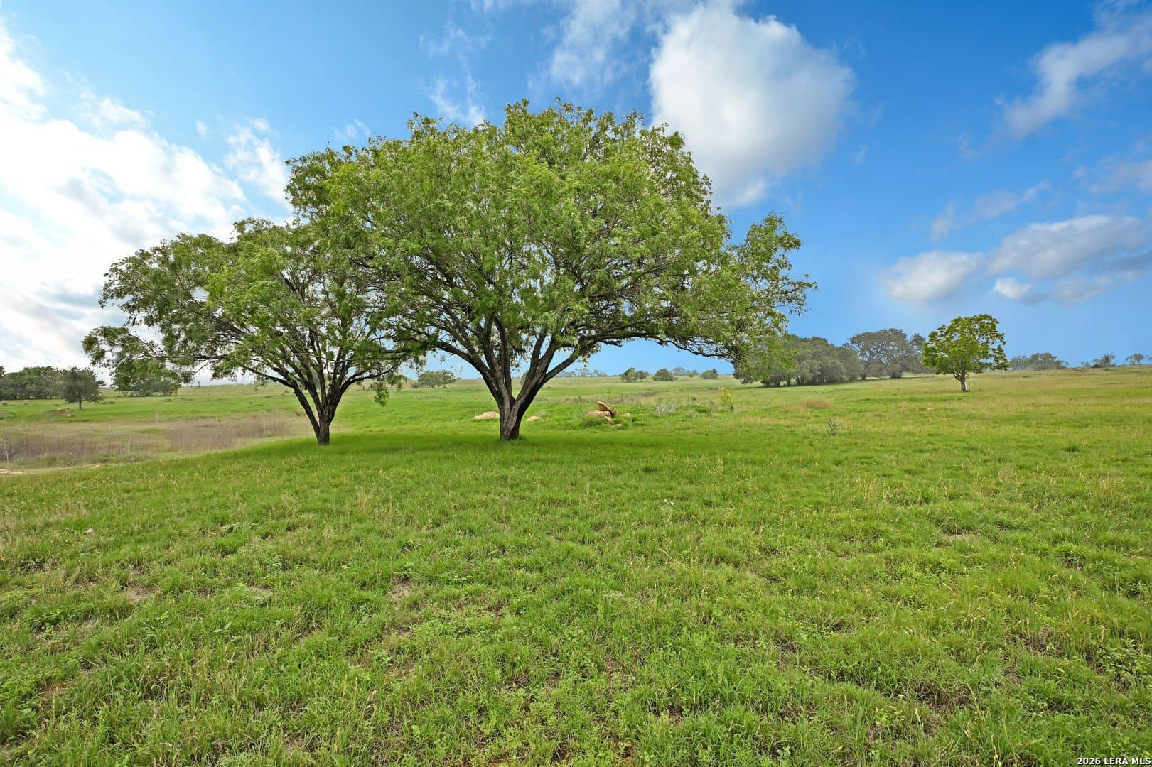 172.55 acres in Bexar County - photo 13