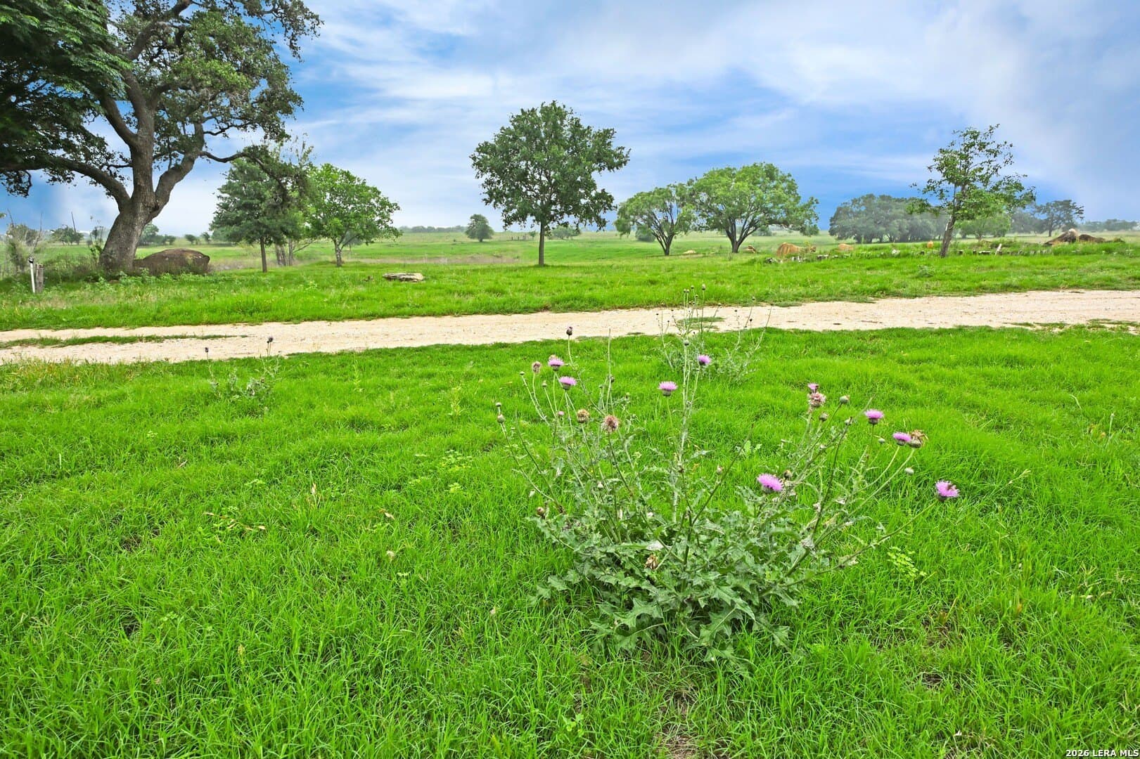 172.55 acres in Bexar County - photo 15