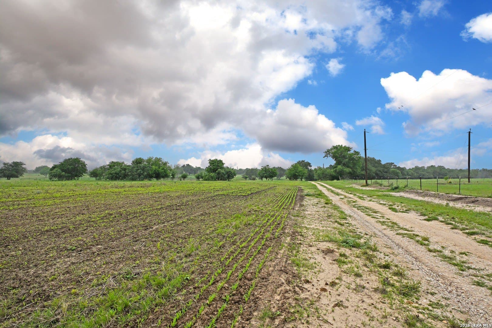 172.55 acres in Bexar County - photo 8