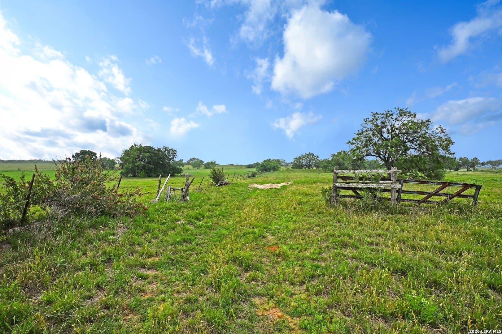 172.55 acres in Bexar County - photo 22