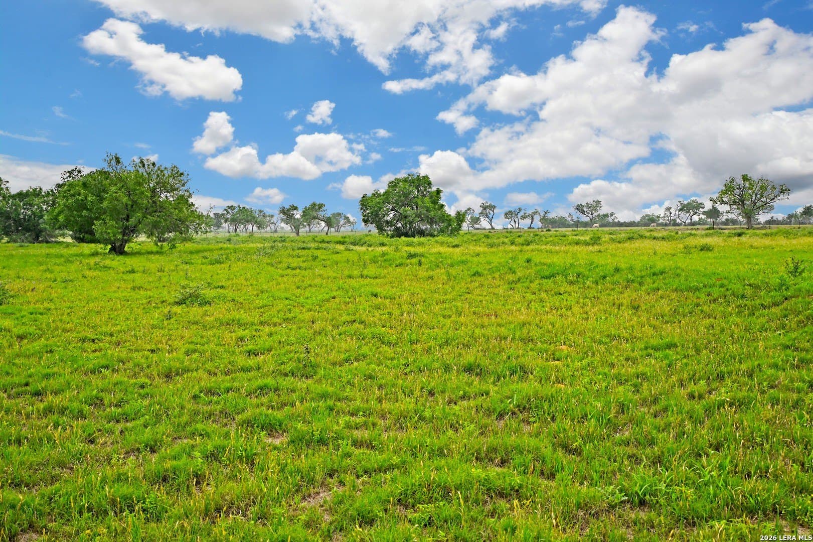 172.55 acres in Bexar County - photo 23