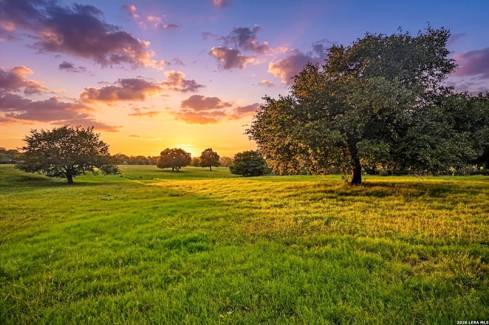 172.55 acres in Bexar County - photo 11