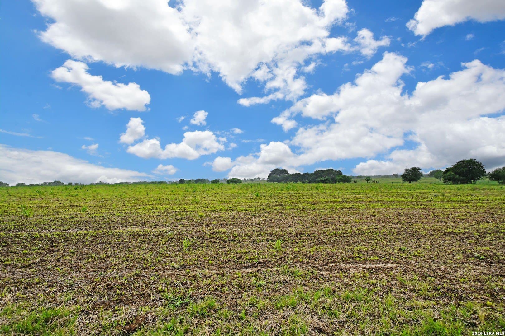 172.55 acres in Bexar County - photo 9