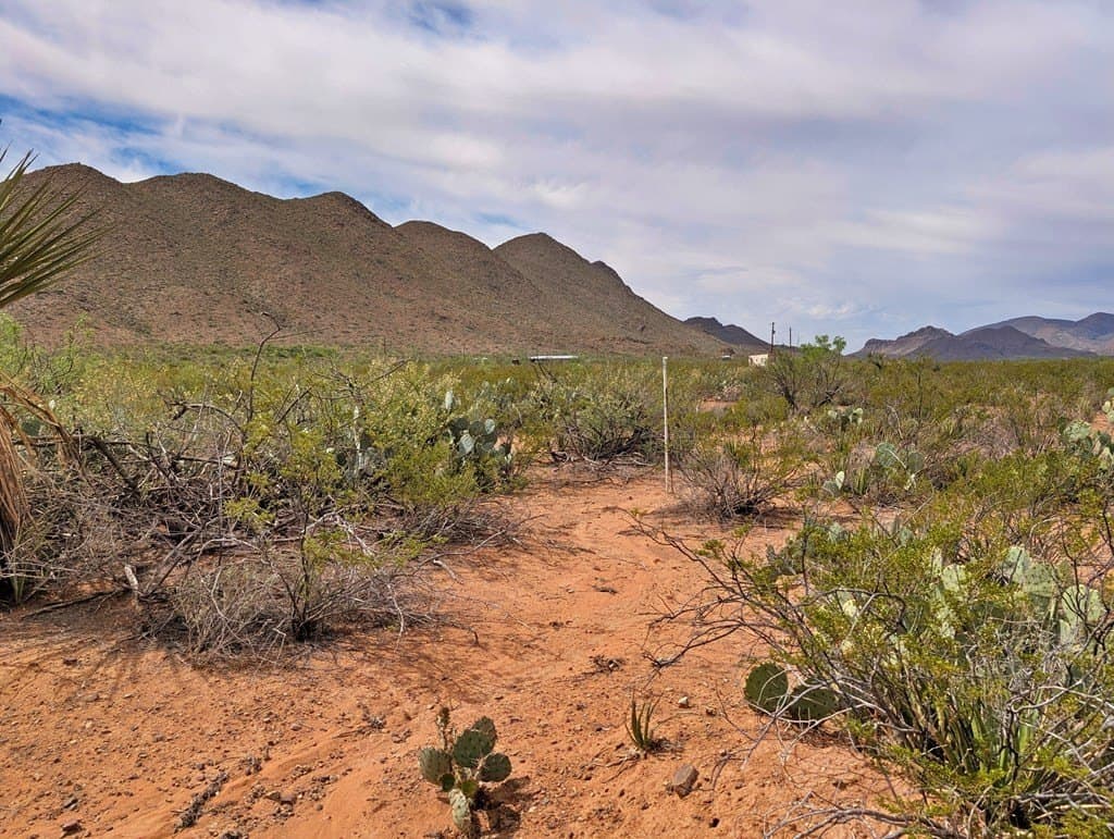 40 acres in Brewster County gallery image 4