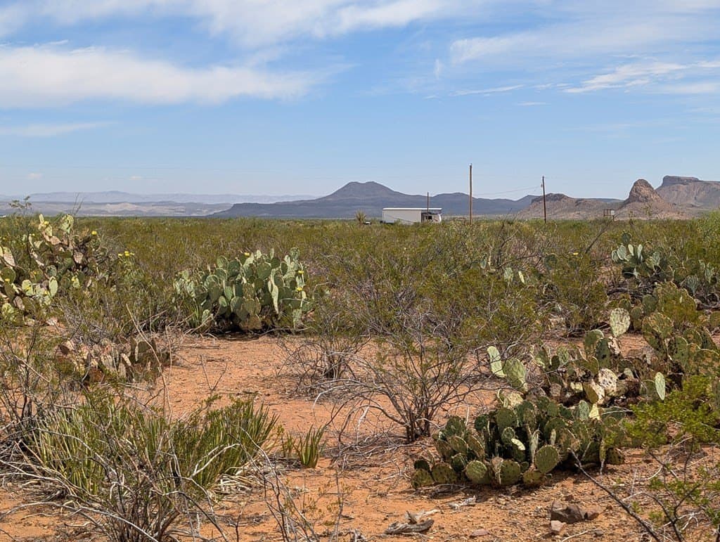 40 acres in Brewster County - photo 11