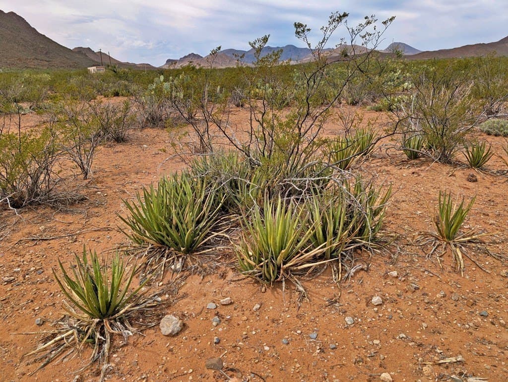 40 acres in Brewster County - photo 14