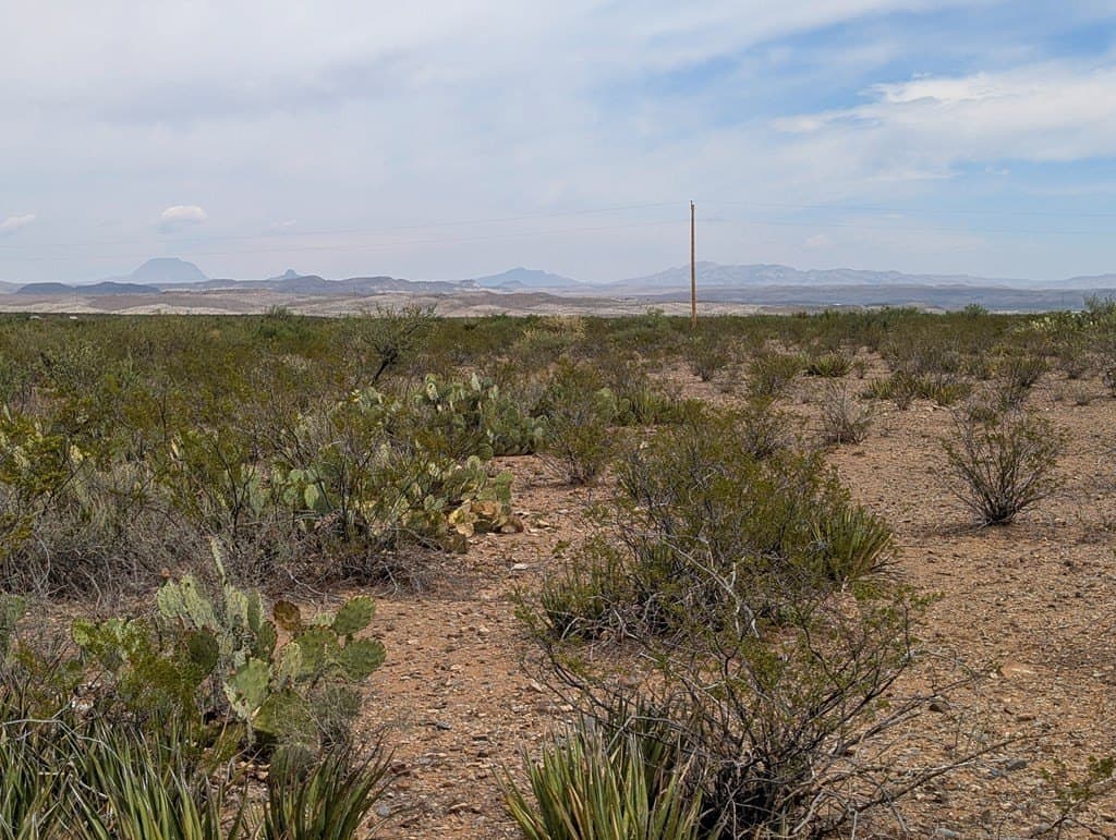 40 acres in Brewster County - photo 20