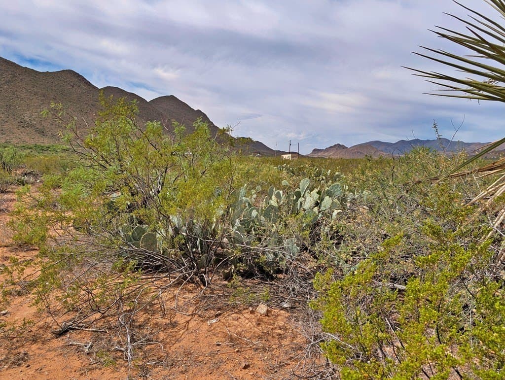 40 acres in Brewster County - photo 13