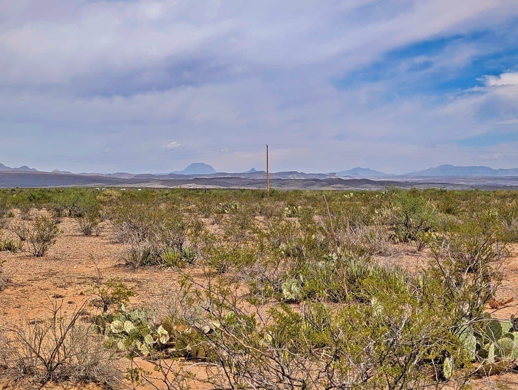 40 acres in Brewster County - photo 10