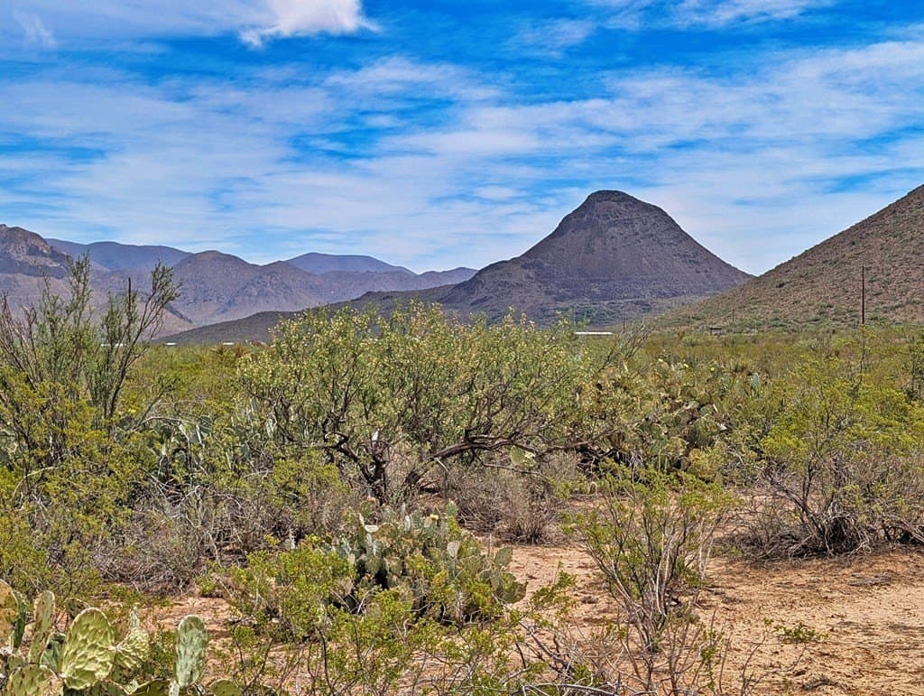 40 acres in Brewster County gallery image 2