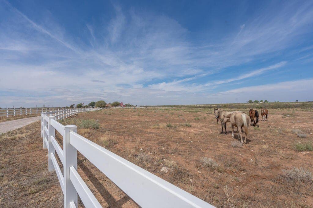 27.93 acres in Midland County - photo 9