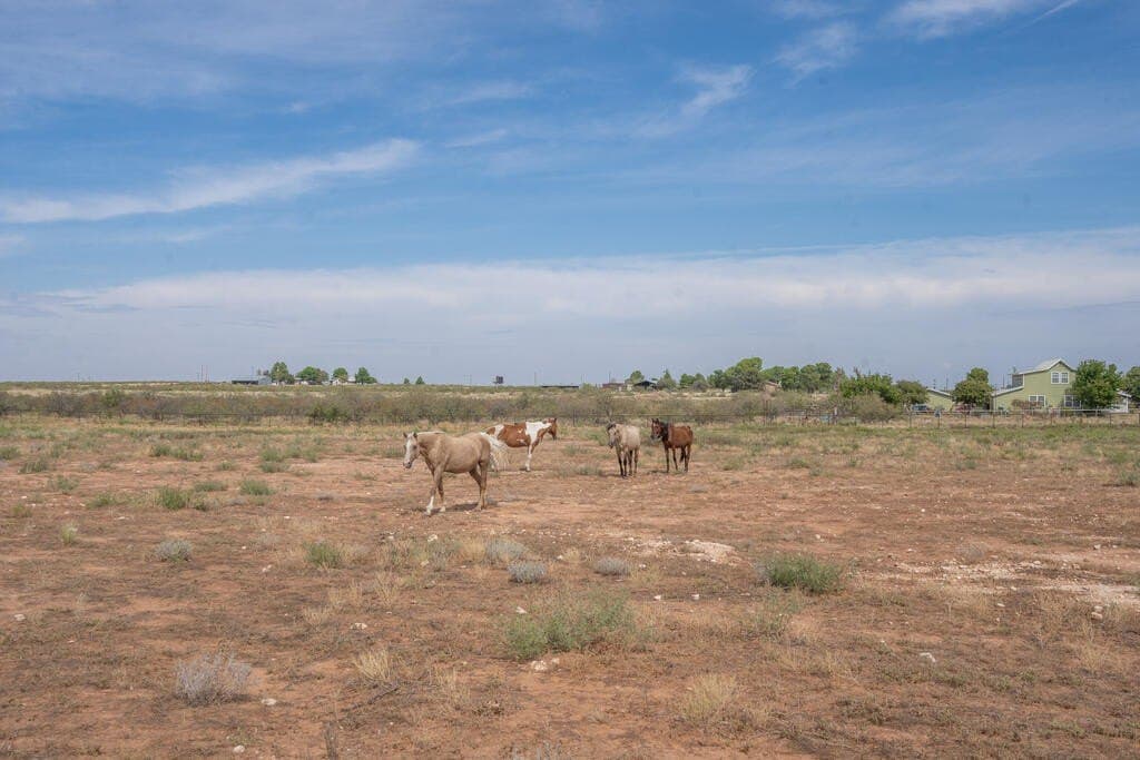 27.93 acres in Midland County - photo 10