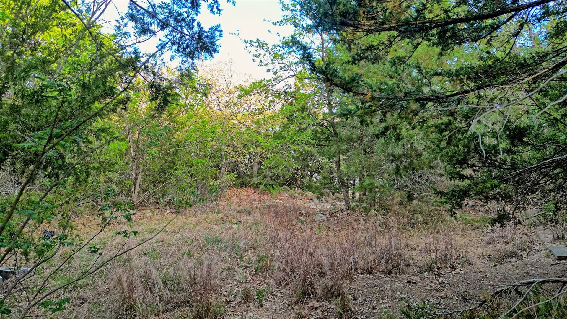 4.73 acres in Montague County - photo 17