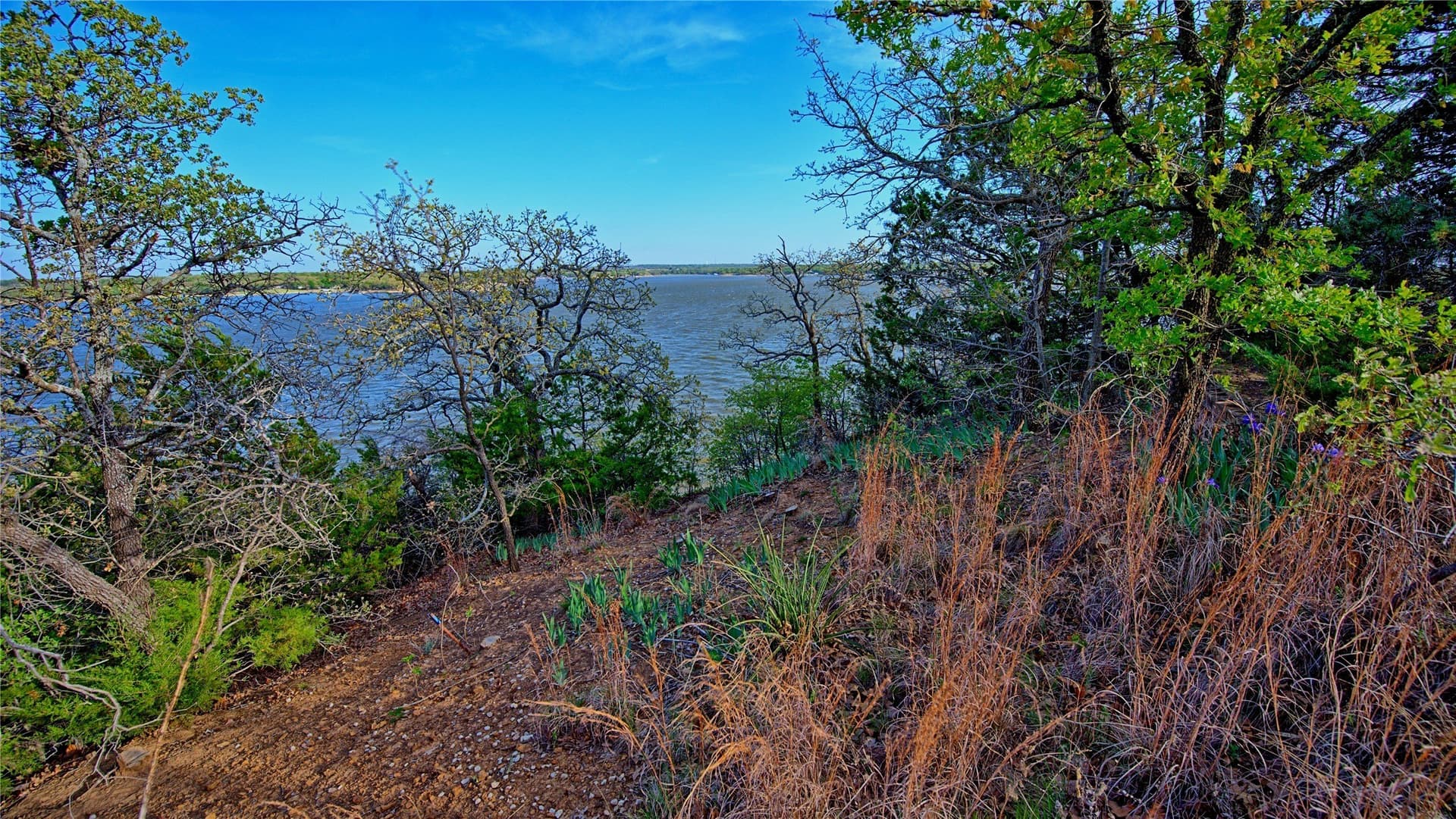 4.73 acres in Montague County - photo 11