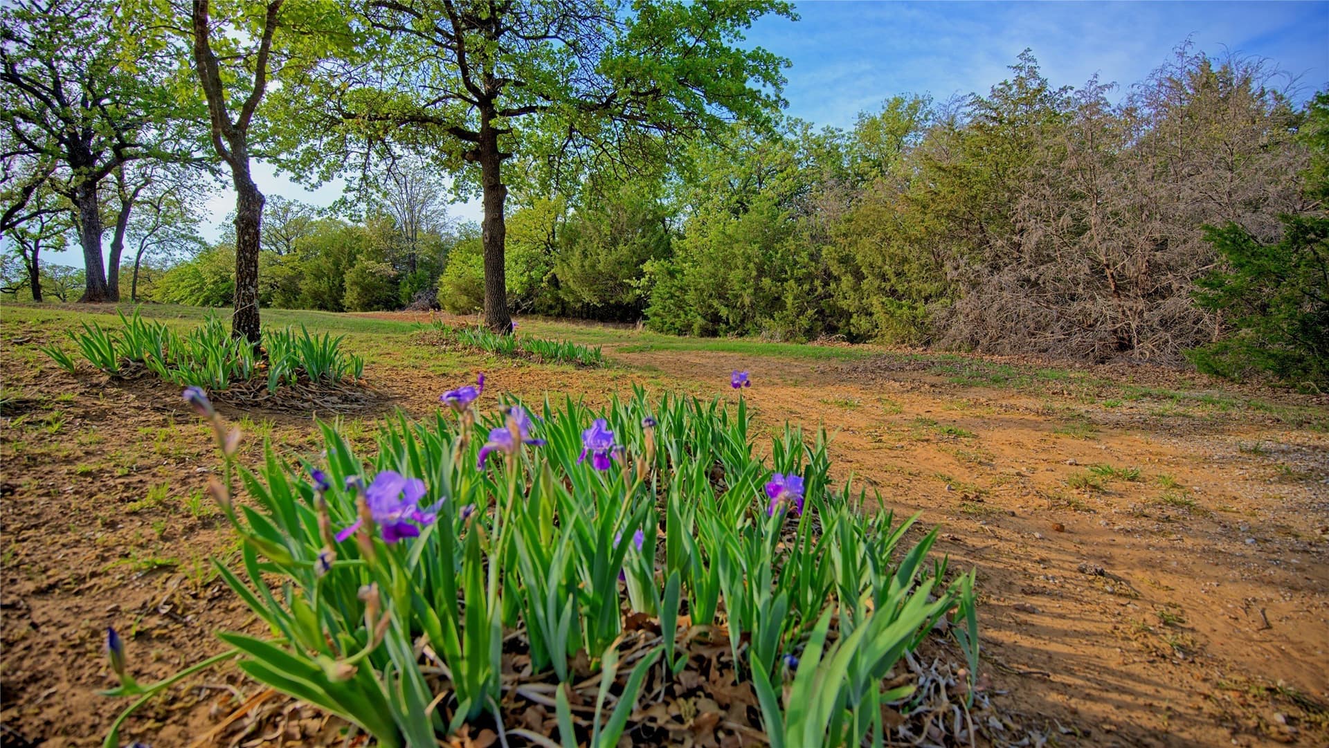 4.73 acres in Montague County featured view
