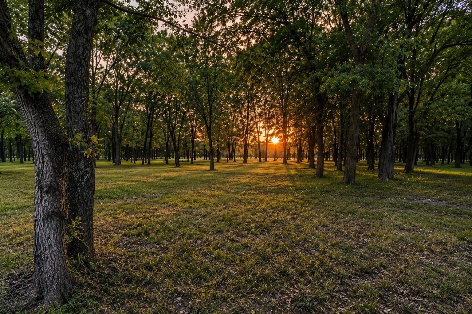1.2 acres in Grayson County - photo 3