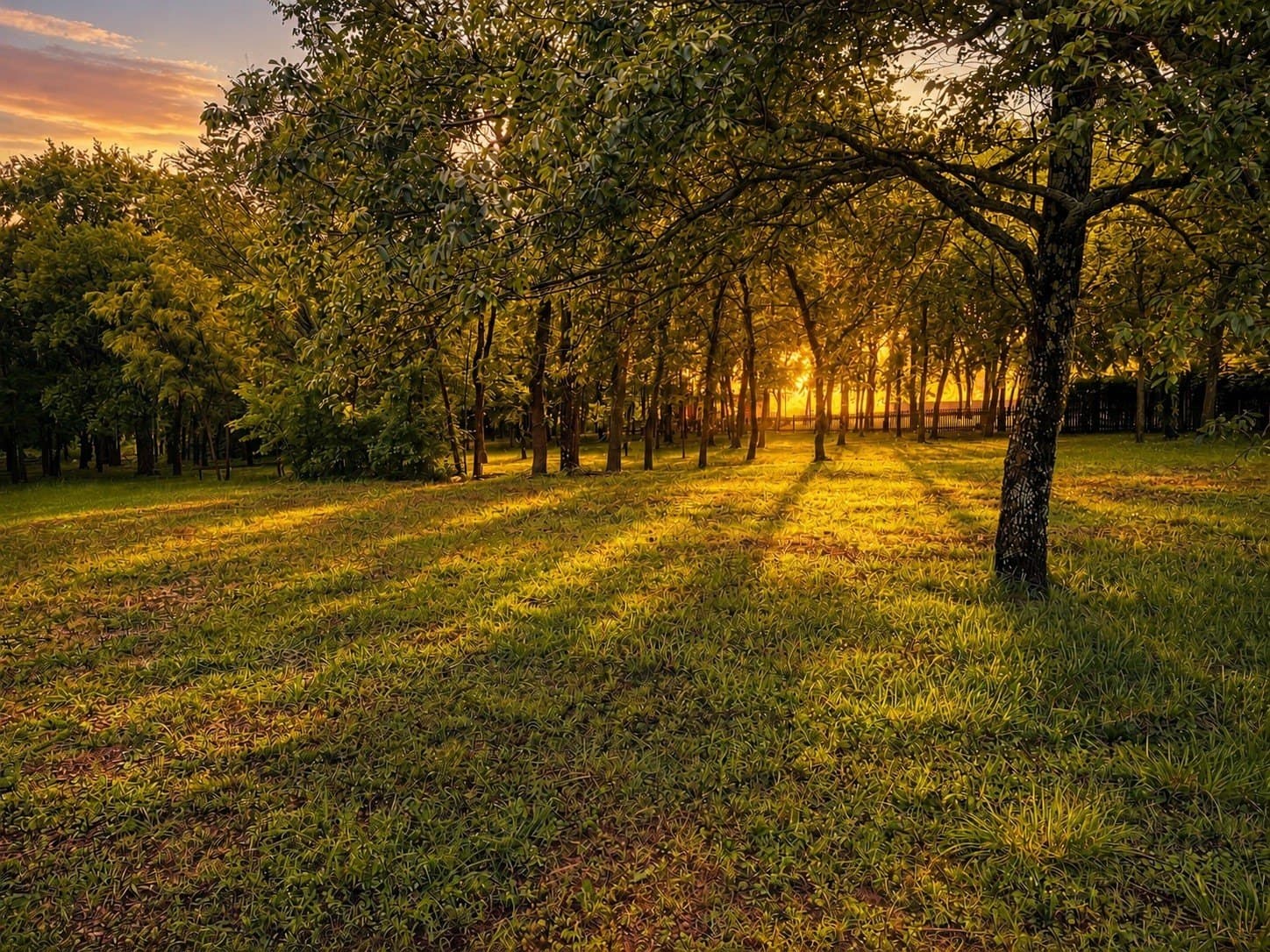 1.2 acres in Grayson County