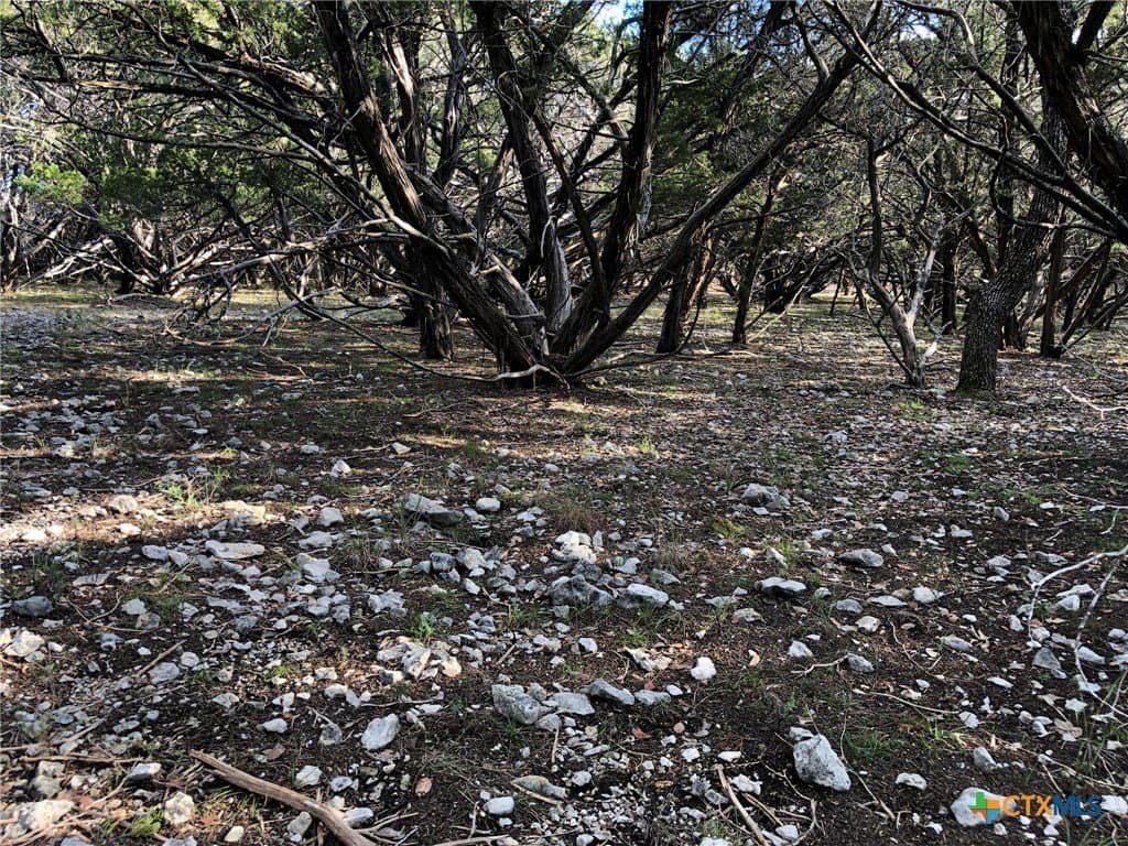 10 acres in Burnet County - photo 22