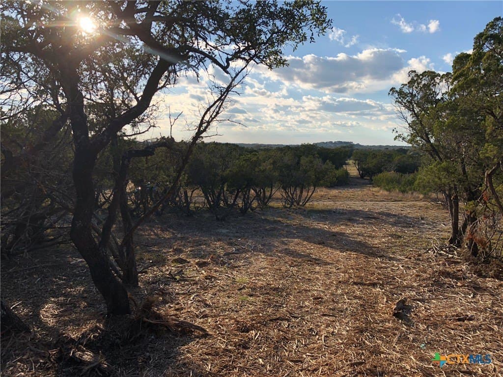 10 acres in Burnet County - photo 29