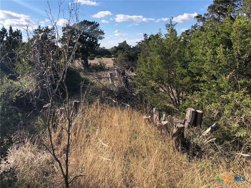 10 acres in Burnet County - photo 18