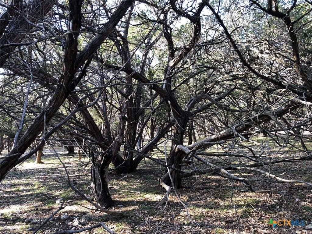 10 acres in Burnet County - photo 20