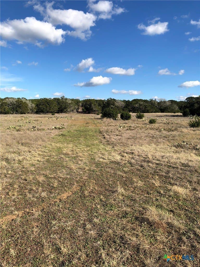10 acres in Burnet County - photo 12
