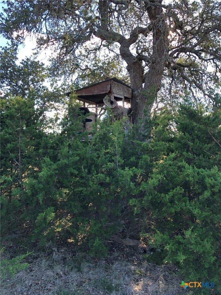 10 acres in Burnet County - photo 14