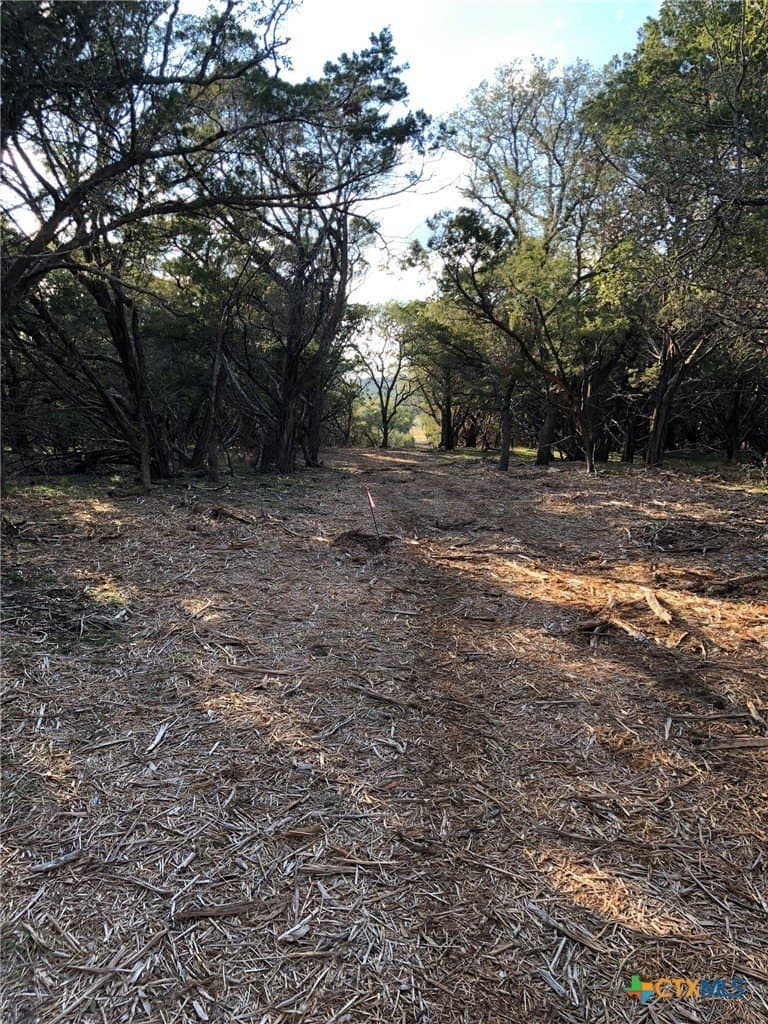 10 acres in Burnet County - photo 28