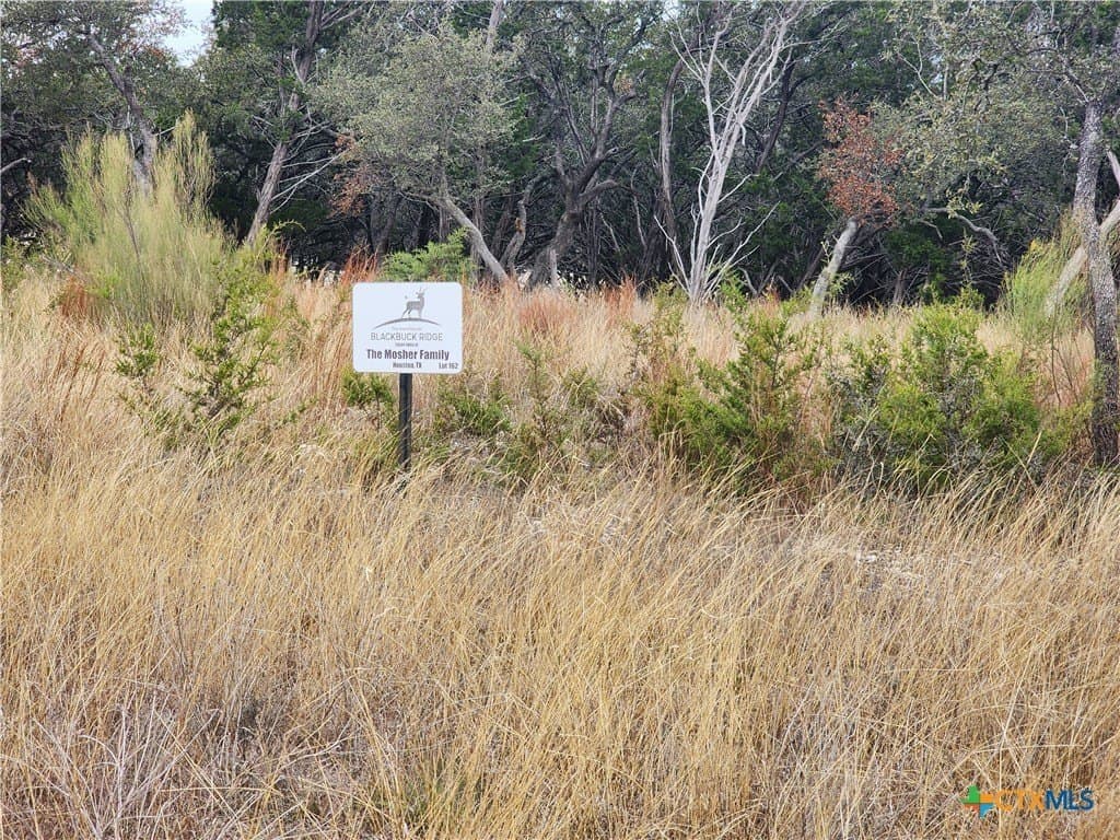 10 acres in Burnet County gallery image 4
