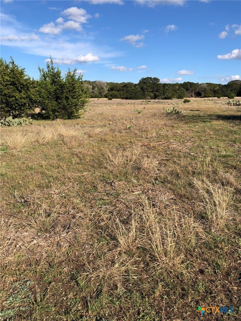 10 acres in Burnet County - photo 11