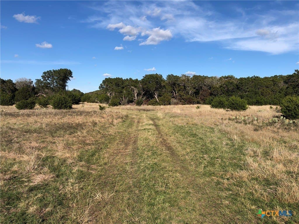 10 acres in Burnet County - photo 8