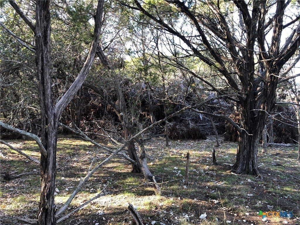 10 acres in Burnet County - photo 24