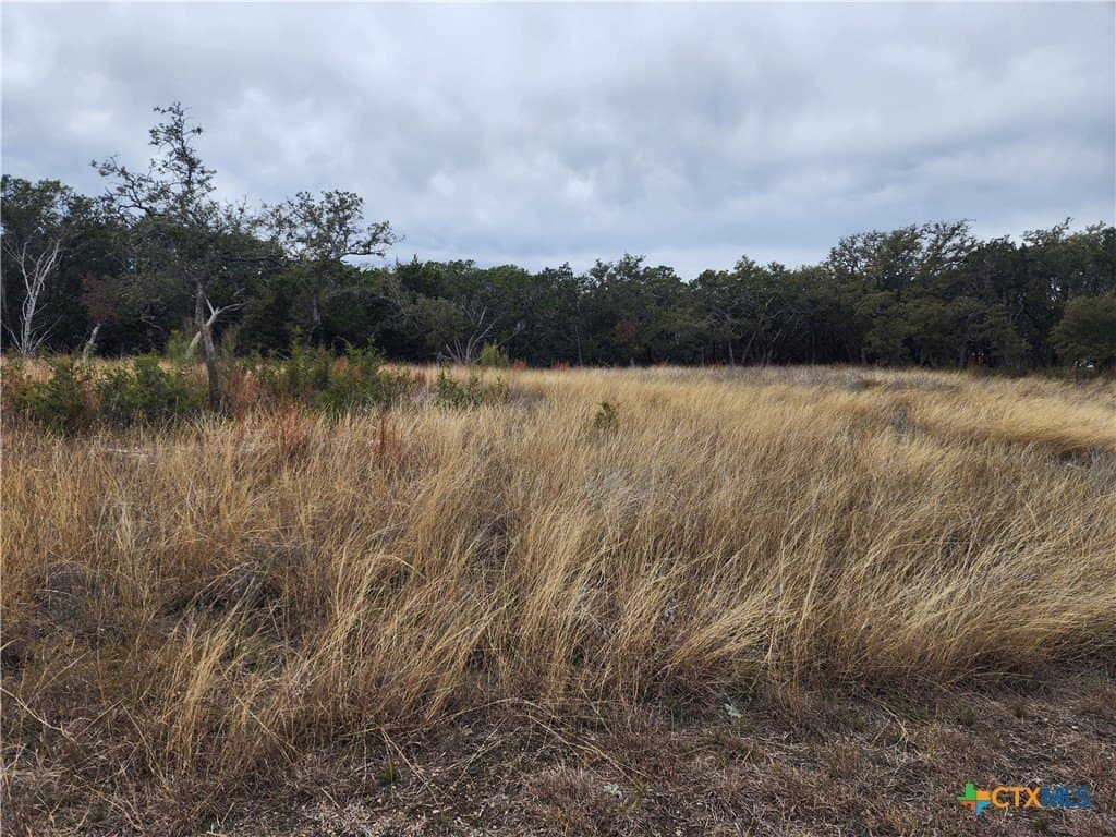 10 acres in Burnet County gallery image 2