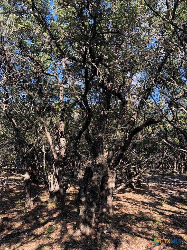 10 acres in Burnet County - photo 19