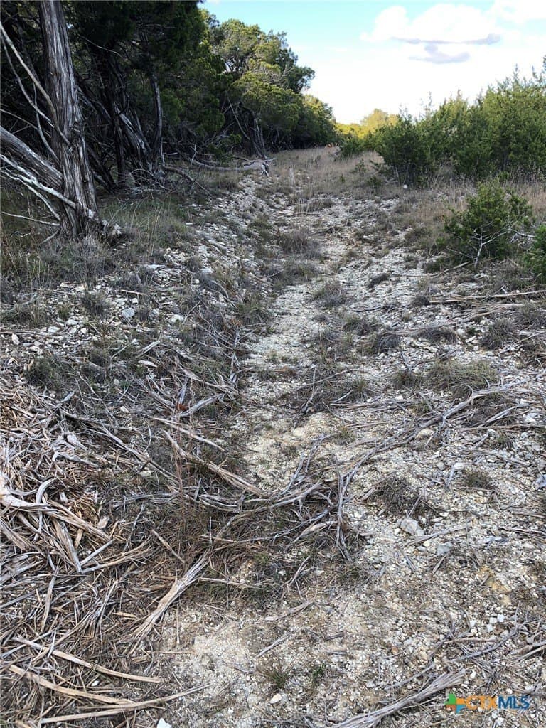 10 acres in Burnet County - photo 26