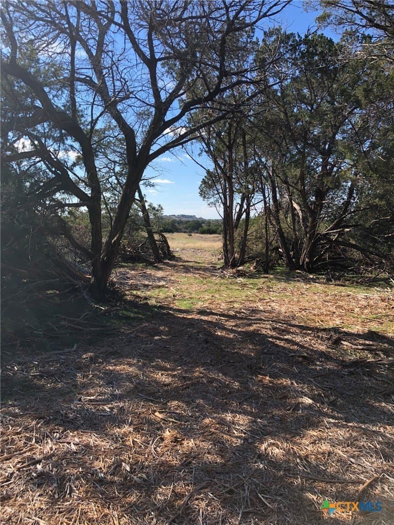 10 acres in Burnet County - photo 6
