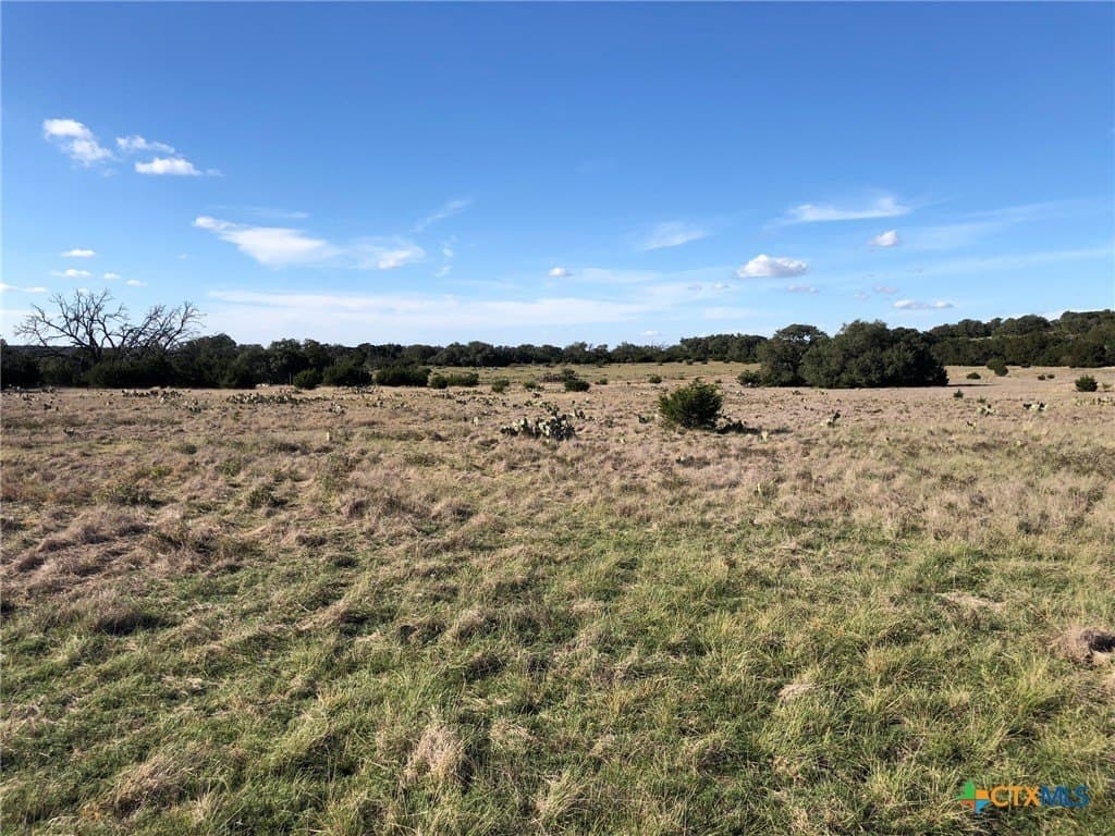 10 acres in Burnet County - photo 7