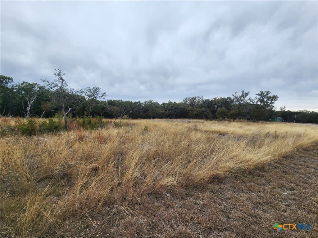 10 acres in Burnet County gallery image 3
