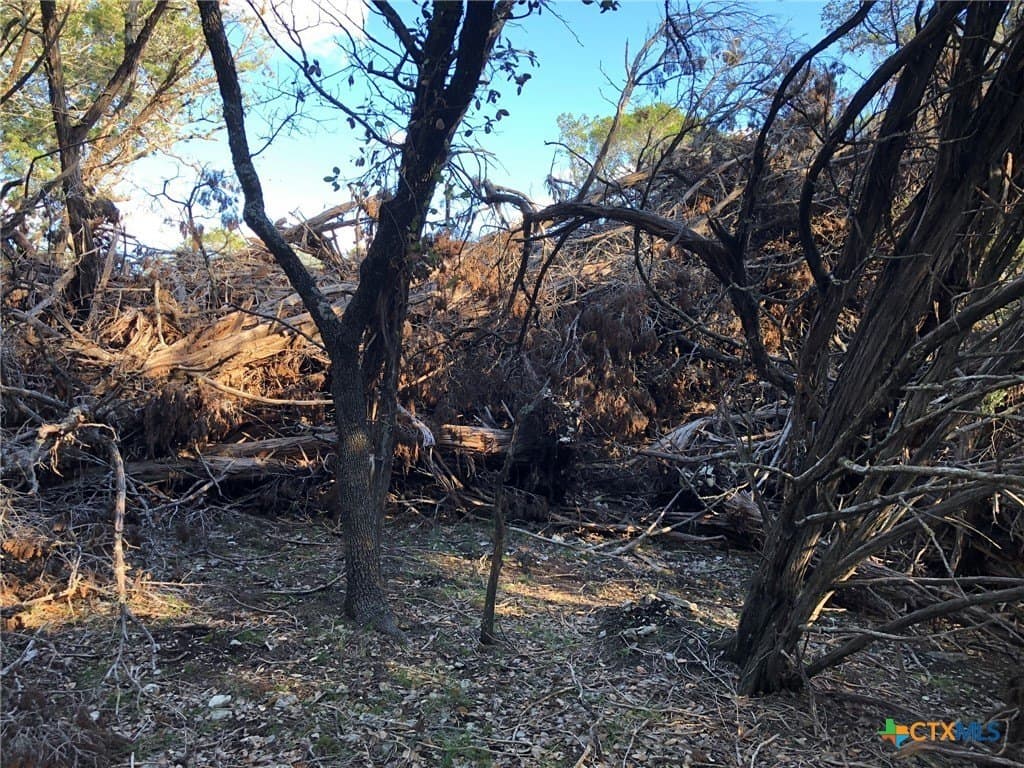 10 acres in Burnet County - photo 23